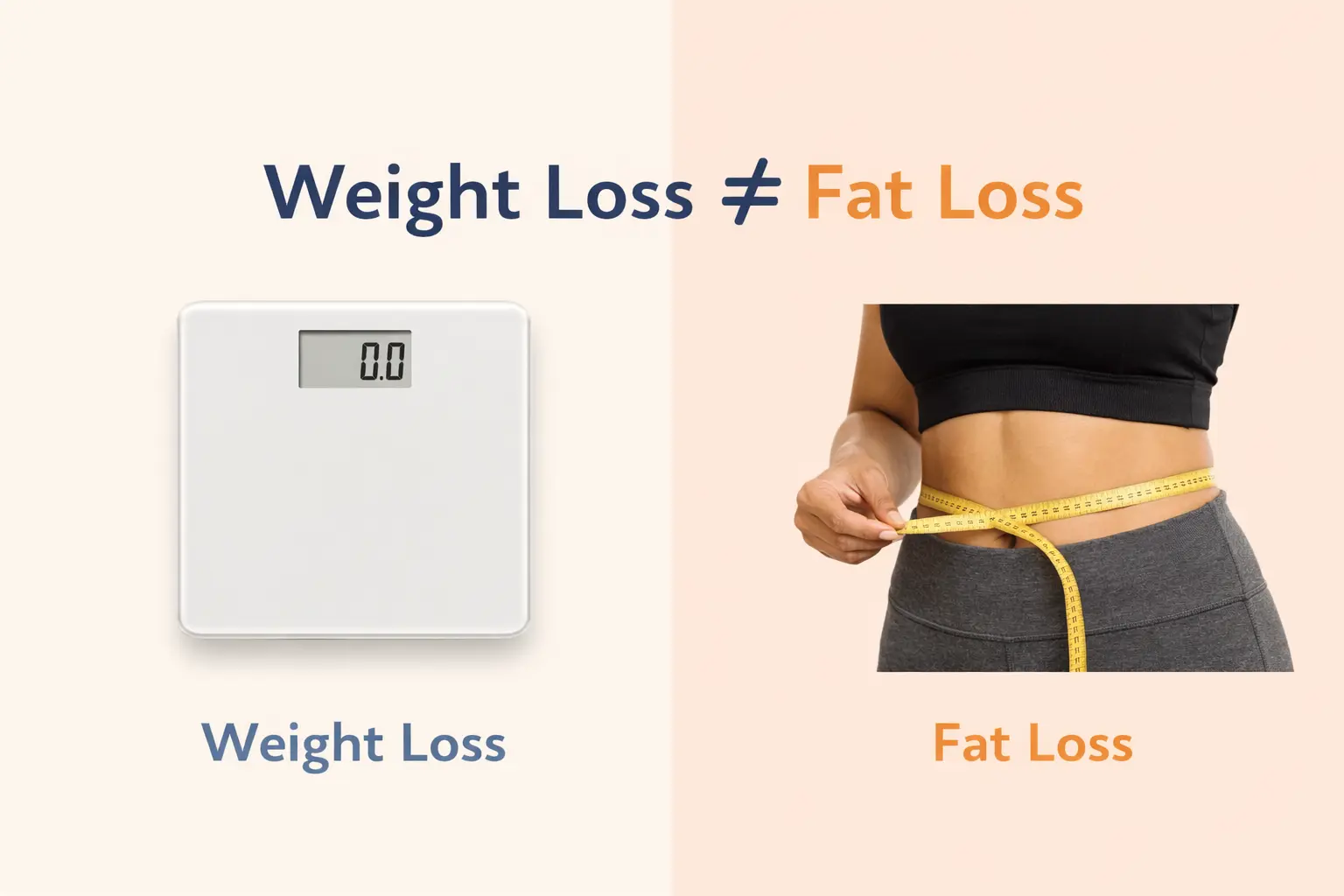 Difference between fat loss and weight loss explained visually